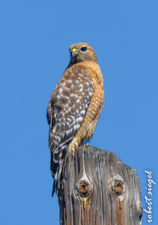 eleanor pardee park 2025